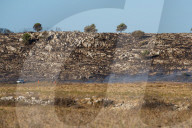 Wildfire Affects Mediterranean Scrub Near Otranto