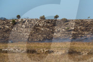 Wildfire Affects Mediterranean Scrub Near Otranto