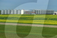 Rural Life Along Alberta’s Queen Elizabeth II Highway