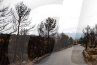 Large-scale Fire In Pauls, Catalonia