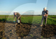 Farmers turned soldiers, fields full of mines and a rural exodus: how Russia is punishing Ukraine’s countryside