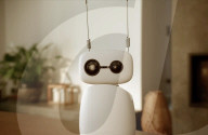 AI programmable home robot