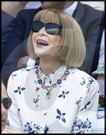 Wimbledon Tennis Championships-Day Twelve