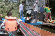 Cleanliness Drive At Dal Lake In Srinagar