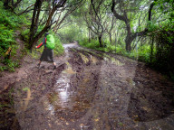 Walking The Northern Way, In Spain. May-June 2025