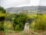 Walking The Northern Way, In Spain. May-June 2025