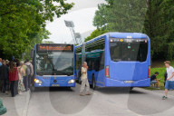 MVG Bus Line 144 At Olympiaberg Stop In Munich