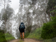 Walking The Northern Way, In Spain. May-June 2025