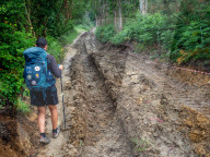 Walking The Northern Way, In Spain. May-June 2025