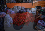 Activities Of Agriculture Traders In A Wholesale Market In Indonesia
