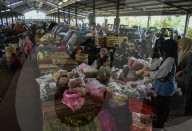 Activities Of Agriculture Traders In A Wholesale Market In Indonesia