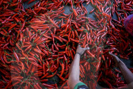 Activities Of Agriculture Traders In A Wholesale Market In Indonesia