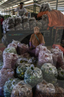 Activities Of Agriculture Traders In A Wholesale Market In Indonesia