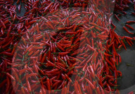 Activities Of Agriculture Traders In A Wholesale Market In Indonesia