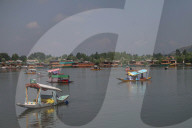 Tourism Slowly Revives In Kashmir After Deadly Attack