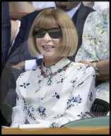 Wimbledon Tennis Championships-Day Twelve