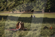 Long summer days on Hampstead Heath in London – in pictures