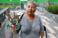 Guelaguetza Tlalpan 2025 In Mexico City