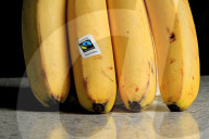 Various Fruit And Vegetables Are Shown.