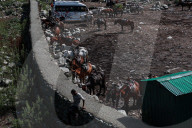 Amarnath Yatra At Pahalgam