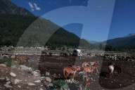 Amarnath Yatra At Pahalgam