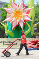 Daily Life In Brampton, Ontario, Canada