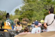 Wildlife Attractions In Sri Lanka - Kaudulla National Park