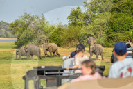 Wildlife Attractions In Sri Lanka - Kaudulla National Park