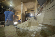 Production Of Mexican Sweet Bread ‘ Concha Elote’
