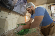 Production Of Mexican Sweet Bread ‘ Concha Elote’
