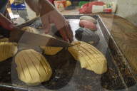 Production Of Mexican Sweet Bread ‘ Concha Elote’