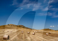 Daily Life In Sardinia