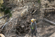 Texas Flooding: Deadly Guadalupe River Kills Over 100