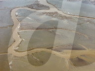 Tidal Tree Landscape in Yancheng