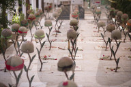 Iran-Iraq War Martyrs