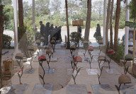 Iran-Iraq War Martyrs