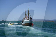 Freedom Flotilla's Handala Sets Sail For Gaza