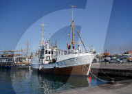 Freedom Flotilla's Handala Sets Sail For Gaza