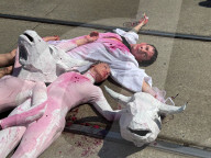 Animals Rights March In Toronto, Canada