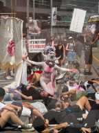Animals Rights March In Toronto, Canada