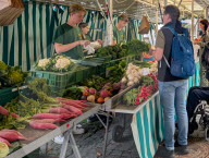 Weekly Market In A Historic German Town Centre