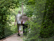 Senior Couple Walks Hand In Hand