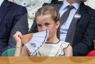 Wimbledon Tennis Championships-Day Fourteen