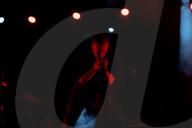 Hybrid Theory