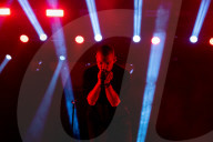 Hybrid Theory