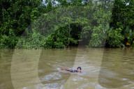 Rise Of Electric Vehicle (EV's) Destroying Sulawesi Rainforests & Coastal Communities