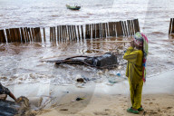 Rise Of Electric Vehicle (EV's) Destroying Sulawesi Rainforests & Coastal Communities