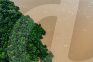 Rise Of Electric Vehicle (EV's) Destroying Sulawesi Rainforests & Coastal Communities