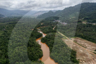 Rise Of Electric Vehicle (EV's) Destroying Sulawesi Rainforests & Coastal Communities