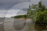 Rise Of Electric Vehicle (EV's) Destroying Sulawesi Rainforests & Coastal Communities